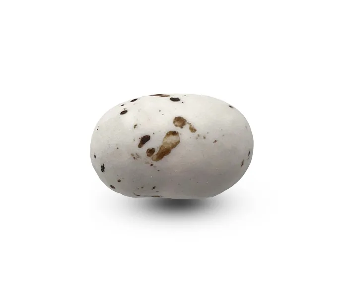 Wit | Cookie Choc's Nuance | Papa Chocolat