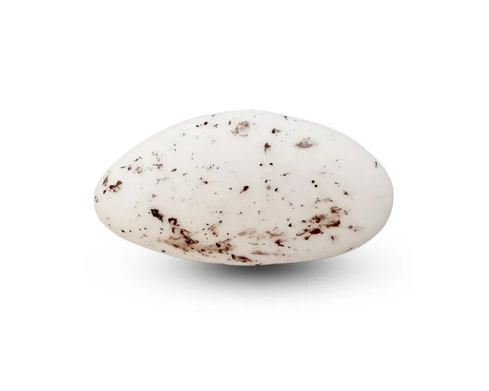 Amandel marmer | Suikerbonen marmer 55 % | Papa Chocolat
